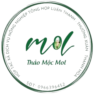 Thảo mộc MOL